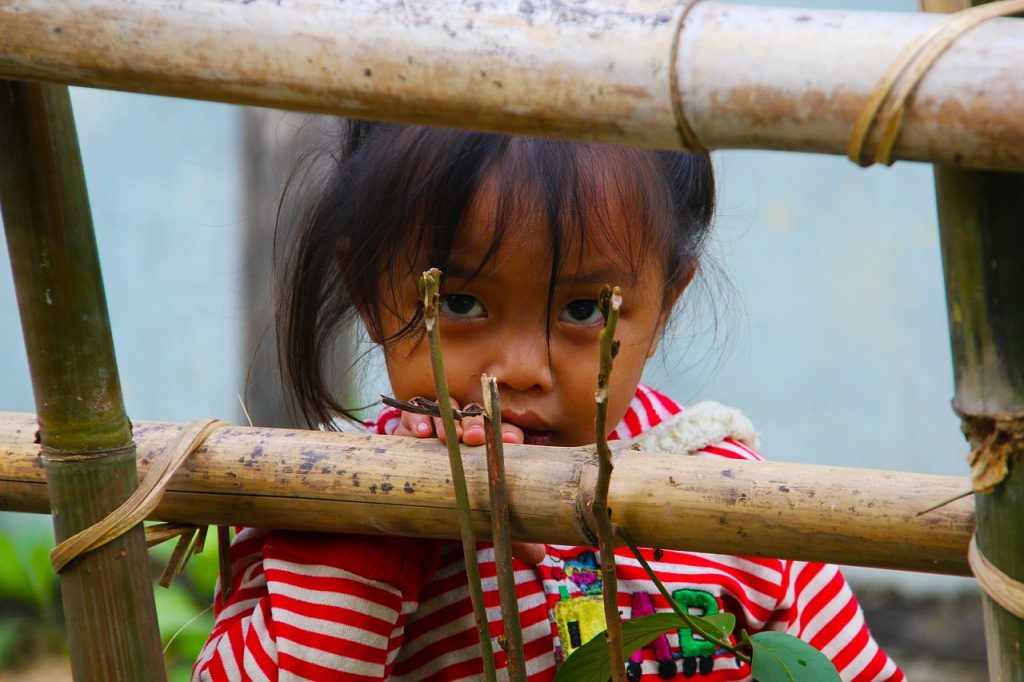 laos, girl child, staring-972541.jpg